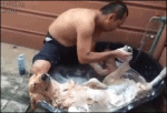 bath