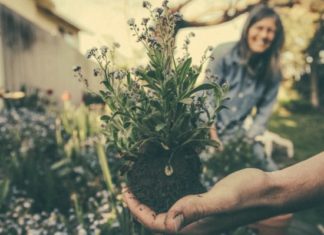 6 Reasons You Need To Pick Up Gardening