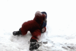 giphy