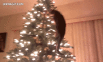 giphy (5)