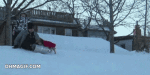 giphy (6)
