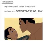 mulan-anaconda