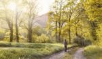 path-andar-field-landscape-160636