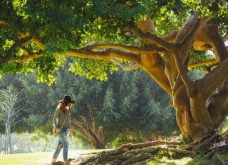 The One Thing You Should Do When You’re Feeling Stressed