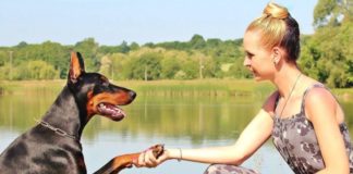 Why Pets Can Really Help You Stay Sane