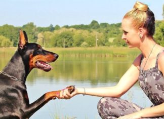 Why Pets Can Really Help You Stay Sane