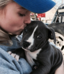 puppy