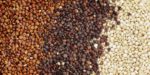 quinoa1-1024×512