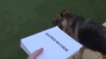 responsibilities