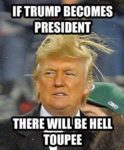 trump toupe
